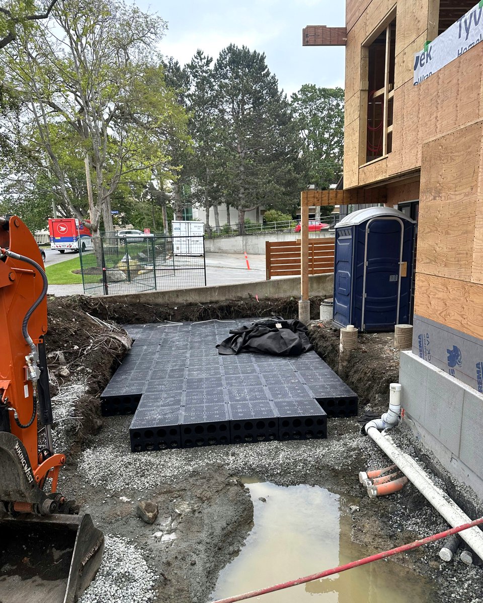 iconixww's tweet image. Urban infill doesn’t have to sacrifice sustainability. ICONIX worked to implement an innovative stormwater solution using DeepRoot’s Marino Cell system. This modular system captures runoff from the full rooftop area &amp;amp; promotes infiltration into native soils at 2 mm/hr

#deeproot