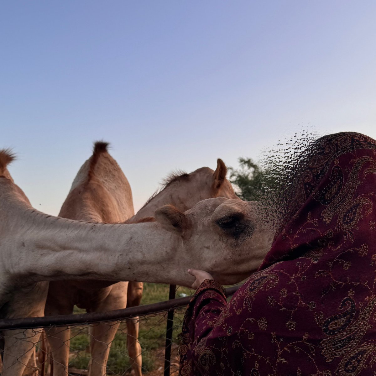 j_uijja's tweet image. عندي مشاعر قوية لصورتي هذي
