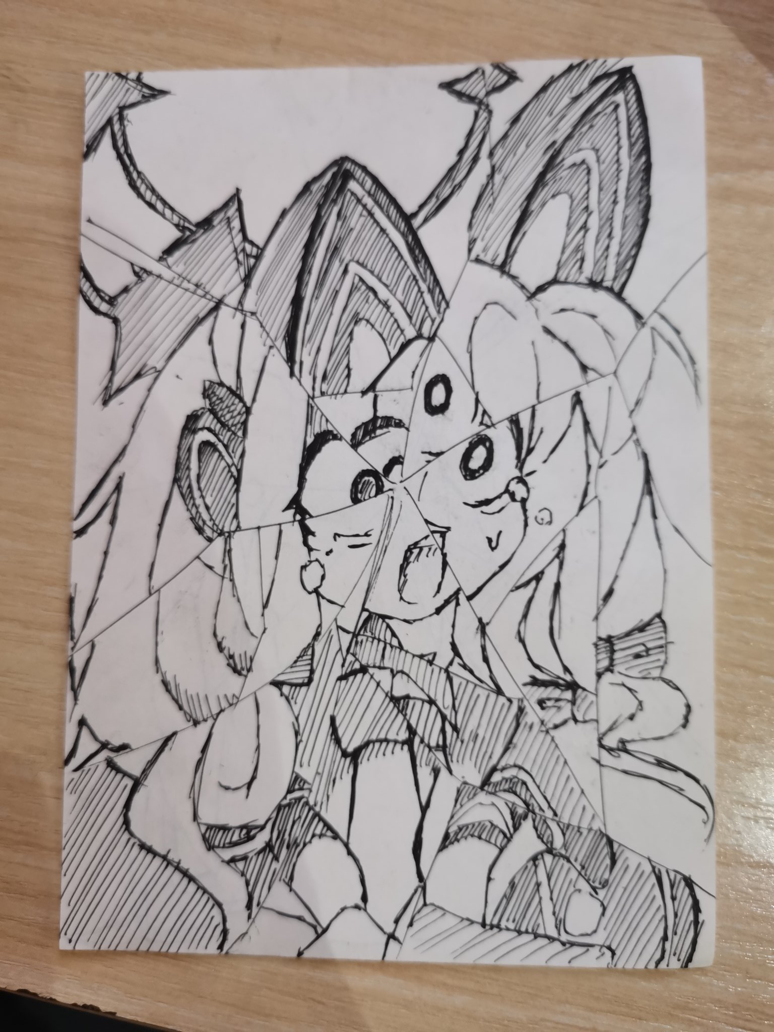 猫猫天下第一 (@Yifan004) / X