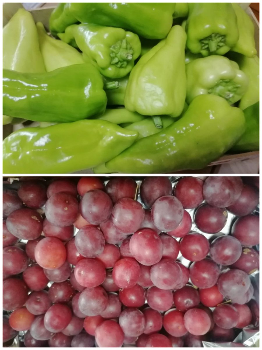 EAldeas's tweet image. Pola #virxedocarme #aldeasgalegas #hortagalega #musicagalega #gaitas #pementos #ameixas #ciruelas #16072025