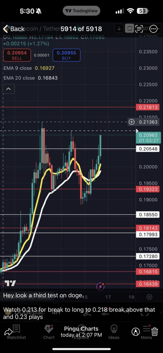 pingucharts's tweet image. STOP PLAYIN WITH MEEEE $doge