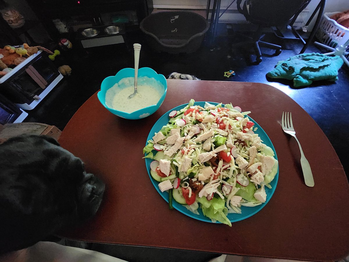 Charlie &amp; Gizmo love the smell of cheese and chicken on my salad 🥗 😋 💚🌱💪😎