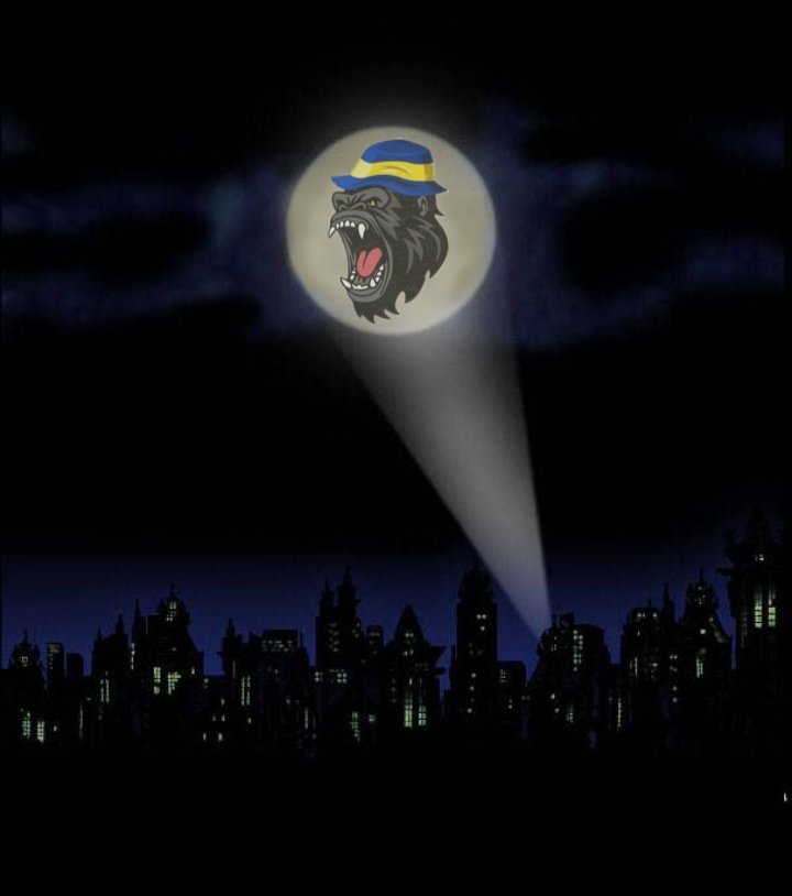 🔵 HOY HAY CATARSIS 🟡 

Los esperamos 22.30hs para la previa de Boca - Unión. Posible debut de Leandro Paredes. 

Invitada de la noche <a href="/AgusBraro/">Agustina</a> 

🟢 kick.com/somoscatarsis