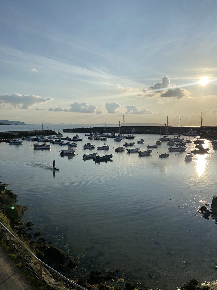 Lewis Fraser tweet media