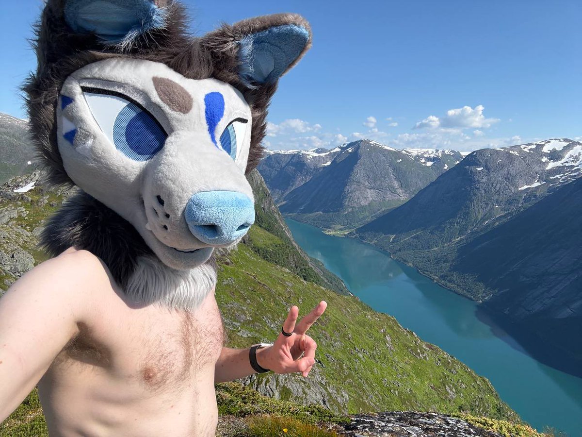 vilk @ 日本 (@vilkpub) on Twitter photo climbed up a mountain at #fjordcon climbed up a mountain at #fjordcon