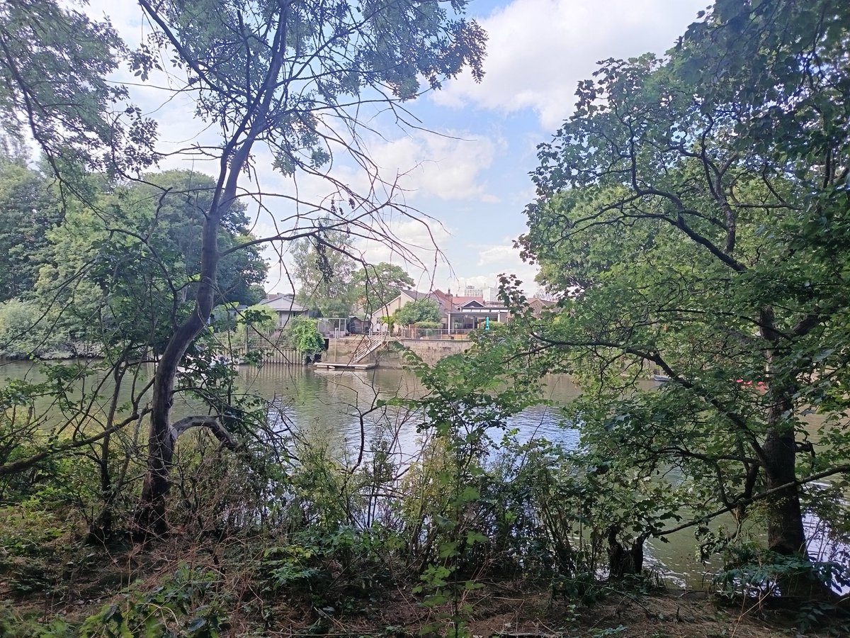 Been out walking all day. Need a old man nap.