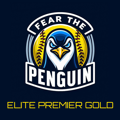 Northern Ice - 12U Elite Premier Gold tweet media