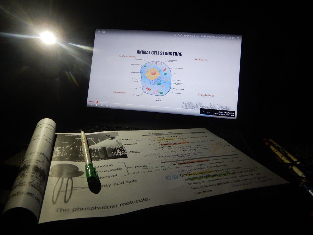 On my way to achieving a dream that has lived with me for years, I do not care about the fatigue and exhaustion that I feel. This photo is from the last night of midterms in my first semester. Even in genocide and no electricity, Our education is still continuing.