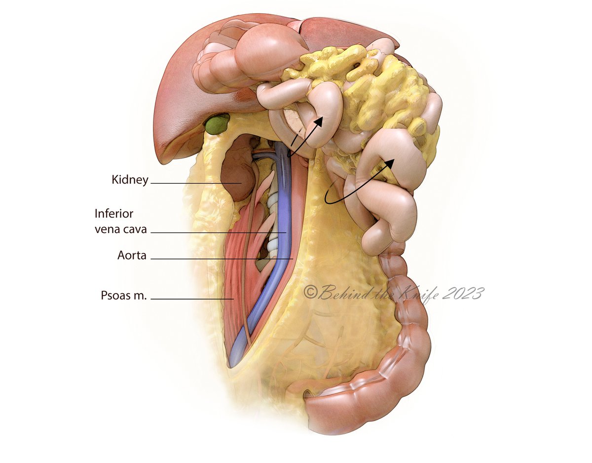 Patrick Georgoff, MD tweet media