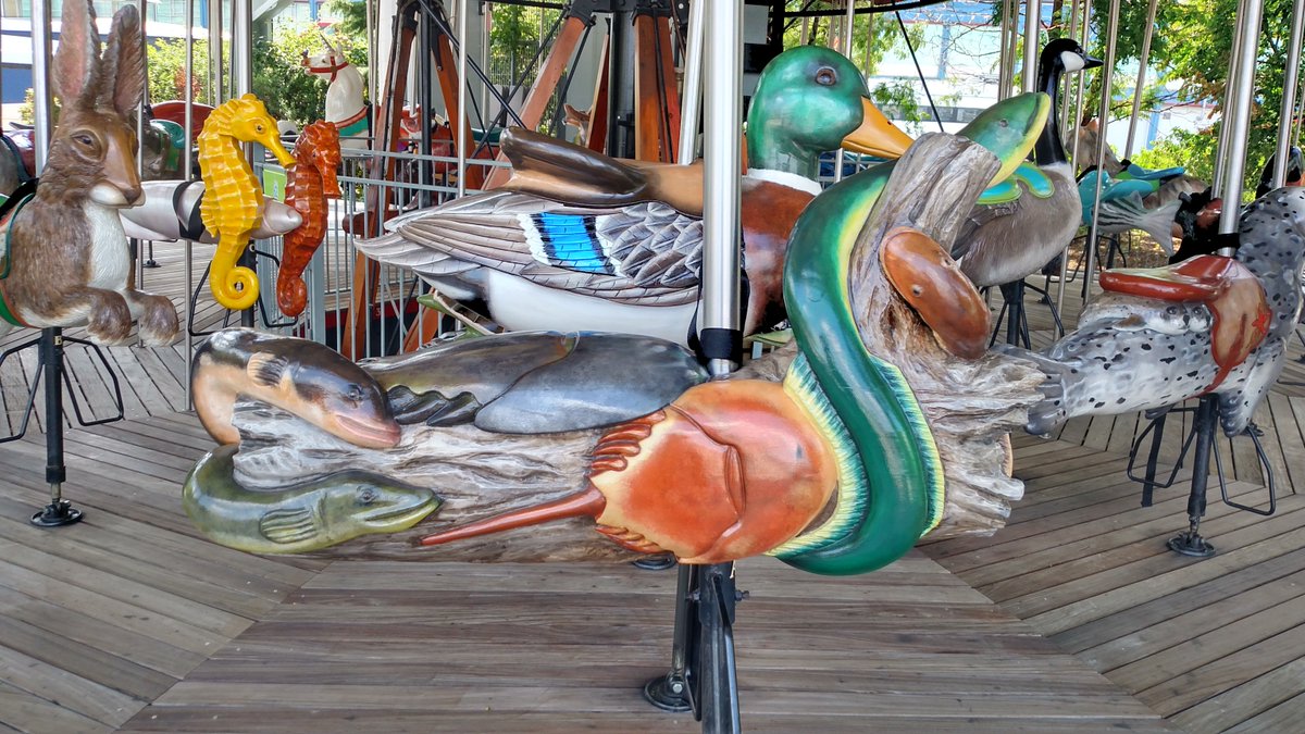 HudsonRiverPark's tweet image. Take a ride on the wild side — 33 hand-carved animals are waiting to meet you at the Pier 62 Carousel! Which one will you choose?
Drop by Thursdays through Sundays, 11:00 AM to 7:00 PM, for a fun family outing with stunning riverfront views. 🎠🐻🦆
📍Pier 62 at W 22 St.