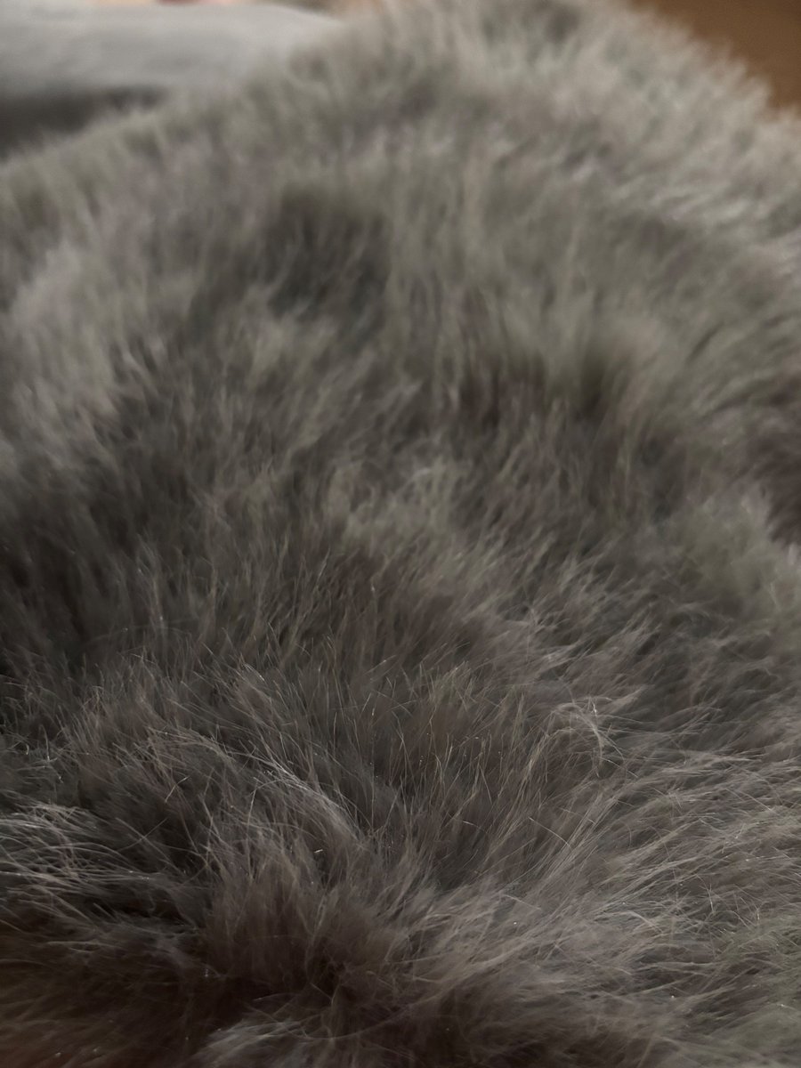 furlover_'s tweet photo. Fur is so amazing ❤️❤️ https://t.co/a4ROpe7iTy