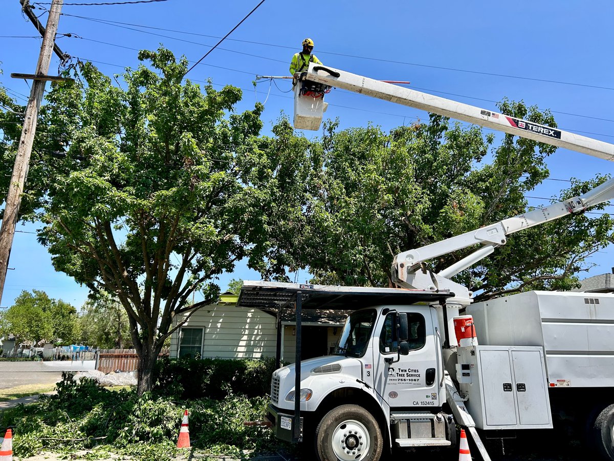 TwinCities_Tree's tweet image. Tree care is about more than just cutting branches. It’s about protecting homes, preventing outages and keeping neighborhoods beautiful. Thanks to our crew for always showing up strong. 
Call for a FREE estimate (530) 755-1067 
#TreeSafety #NorCalArborists #TwinCitiesTreeService
