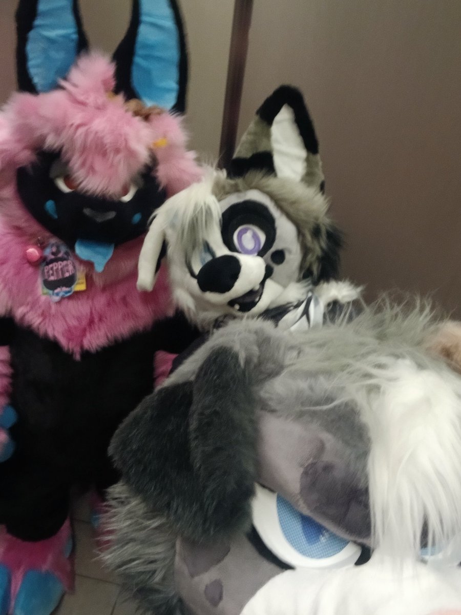 thetwistedpuppy's tweet image. Havin more than 1 of my characters runnin around the con n confusin those is so much fun. I should do it again....>:3