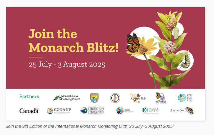 Kim M.🌈🐘 (@violin4all) on Twitter photo International Monarch Butterfly Monitoring Blitz. Please participate in this important conservation project as a citizen scientist. This means anyone, with a scientific background or not, can share their observations and thus contribute to data collection. <a href="/CE_workshop/">Climate&Ecology_Workshop</a> International Monarch Butterfly Monitoring Blitz. Please participate in this important conservation project as a citizen scientist. This means anyone, with a scientific background or not, can share their observations and thus contribute to data collection. <a href="/CE_workshop/">Climate&Ecology_Workshop</a>