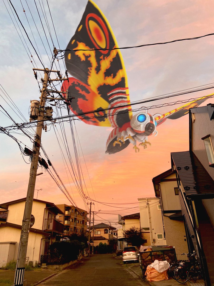 daikaizyuphoton's tweet image. 夕焼けモスラ🦋