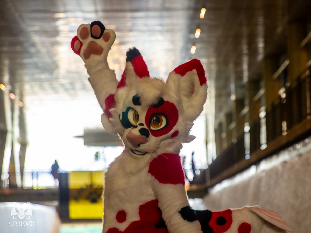 TenTailedWolf's tweet image. We made it to #FursuitFriday β€οΈβ€οΈβ€οΈ
πͺ‘: @ThePhoenixNest_
πΈ: @Kurrikage