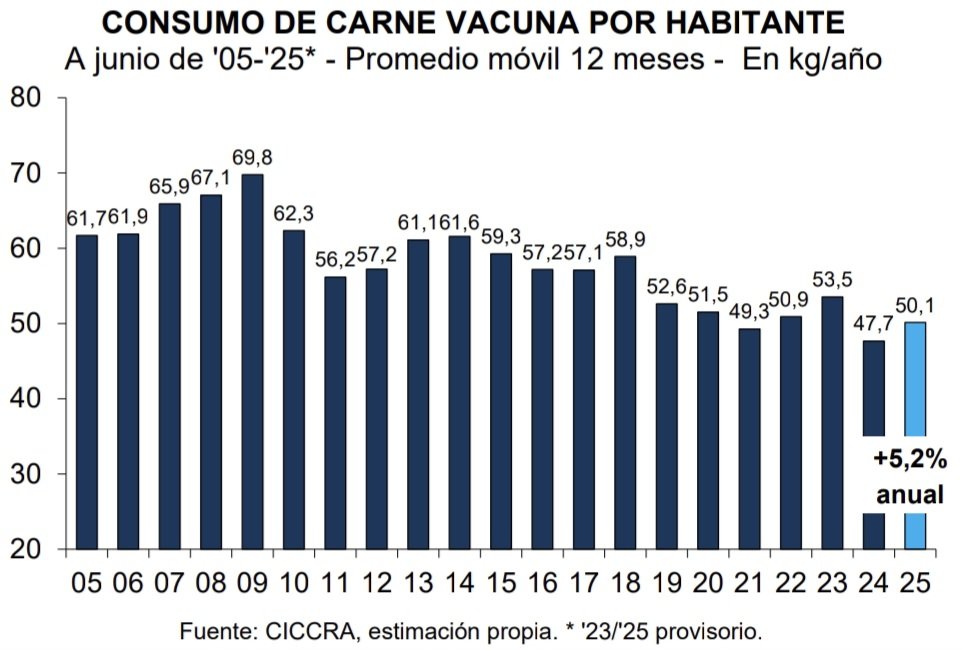 Pedo de buzo. En el primer semestre el consumo interno de carne vacuna subió 11,8% (1.158 millones de toneladas). En los últimos 12 meses la suba fue del 5,2%...