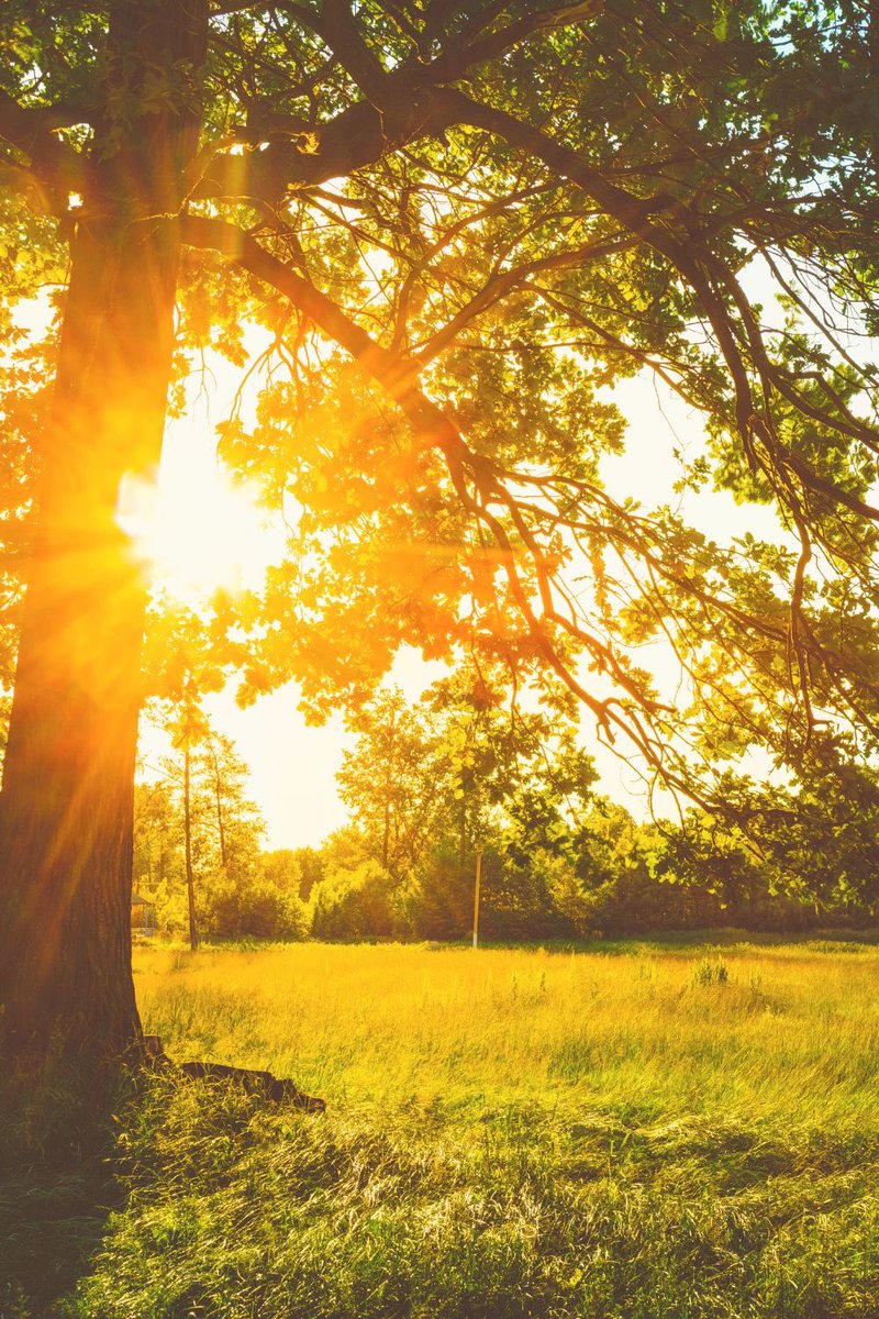 Өглөөн мэнд!🎶

Үйлс нь бүтэмжтэй, сэтгэл нь гэрэлтэй, бодол нь тогтуун байг!💛