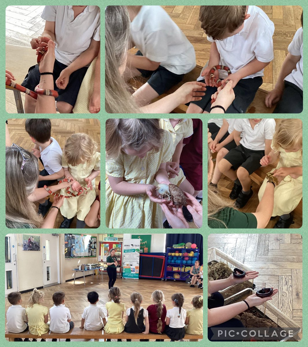 Oughtrington Primary School tweet media