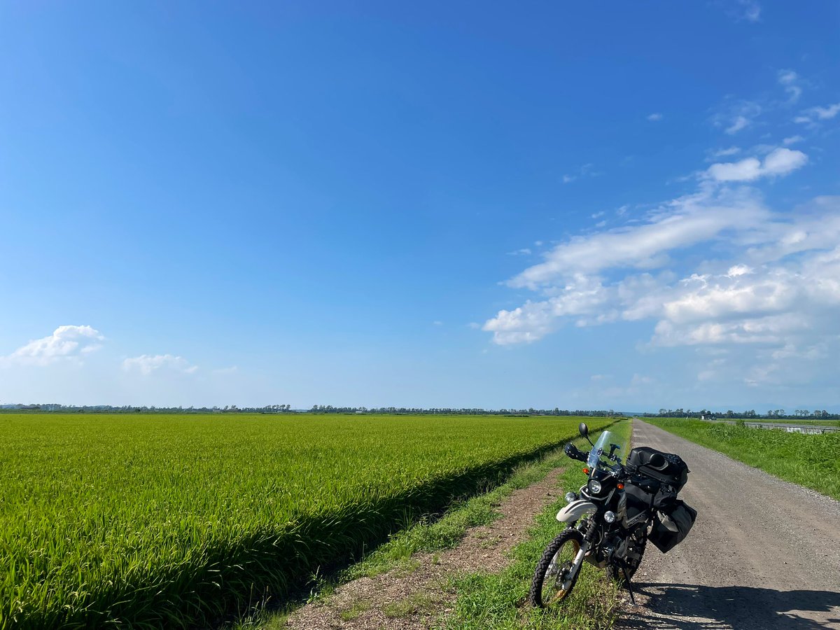 TsuchiuraNumber's tweet photo. #北海道に見えなくもない写真があったら怖々貼ってみる

秋田県の大潟村 https://t.co/B3bZcFFxXz