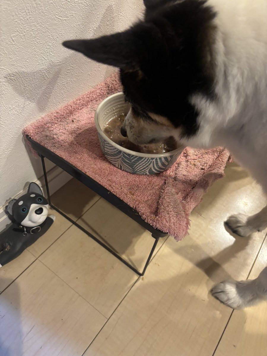 お楽しみが届いた😆😆
即完食してたよ😋😋😋