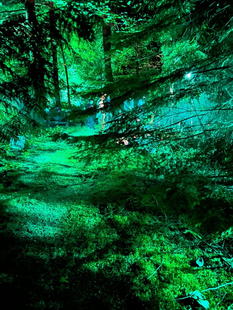 Derek Johnson Filmmaker tweet media