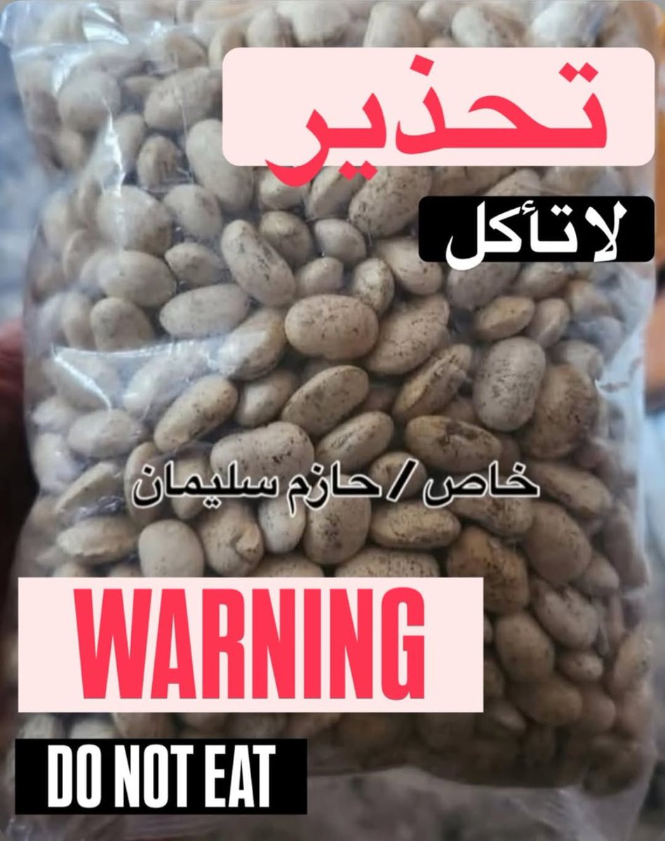 A Palestinian journalist in Gaza warned that a bean called “Shabatiya,” found in U.S. aid, has caused severe intestinal poisoning in several families, as he advised residents to avoid eating it