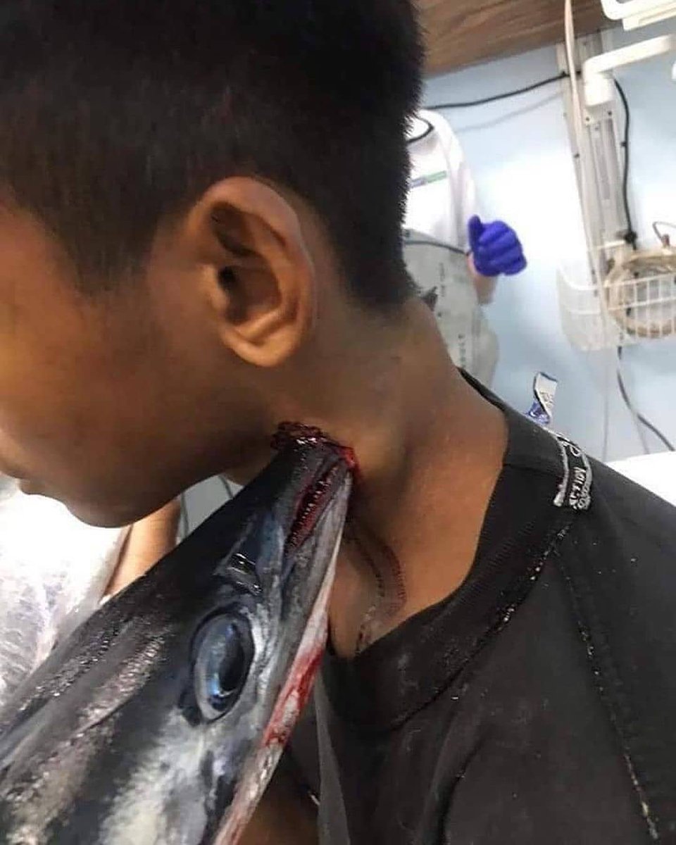 Nature Is Metal tweet media