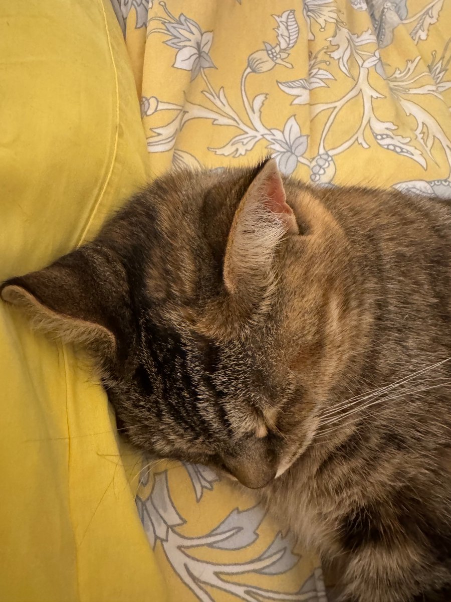 Neil Philip tweet media