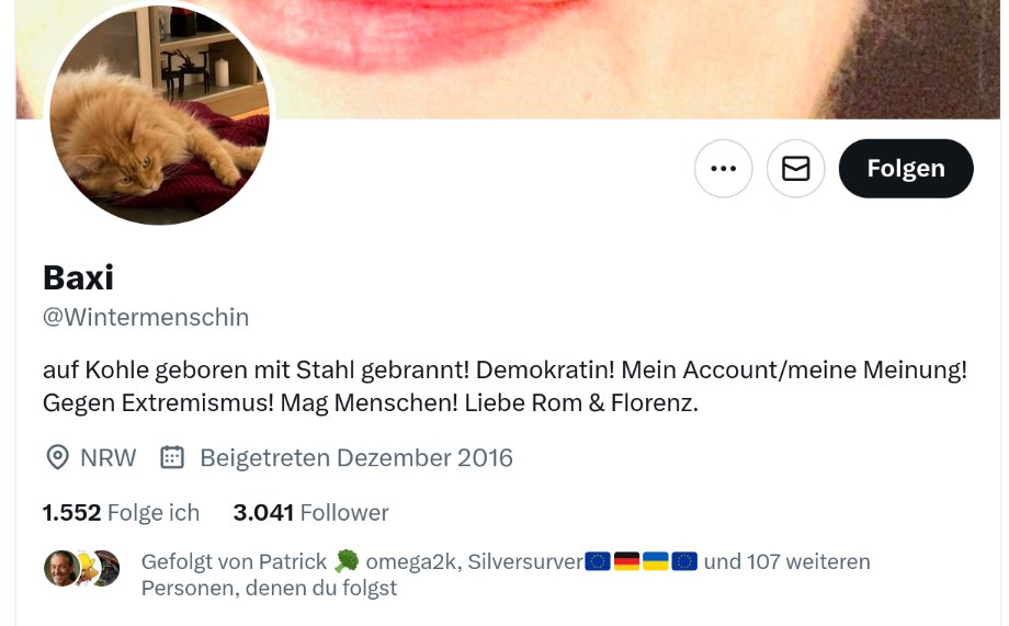 tdog_tobsen's tweet image. Kann mir jemand erklären warum wir 107 gemeinsame Follower haben?
Außer rechtem Müll finde ich da nichts brauchbares in der Timeline.