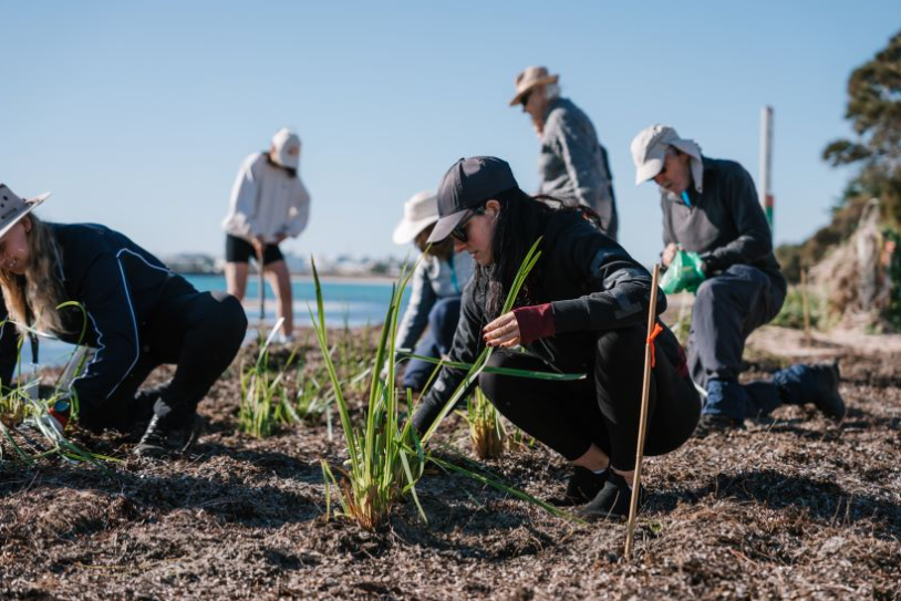 Get Involved in National Tree Day 2025 – Sunday 27 July🌱

The City of Mandurah is calling on the community to help grow a greener future by joining the National Tree Day planting event.

Find out more👉️mandurah.wa.gov.au/explore/whats-…