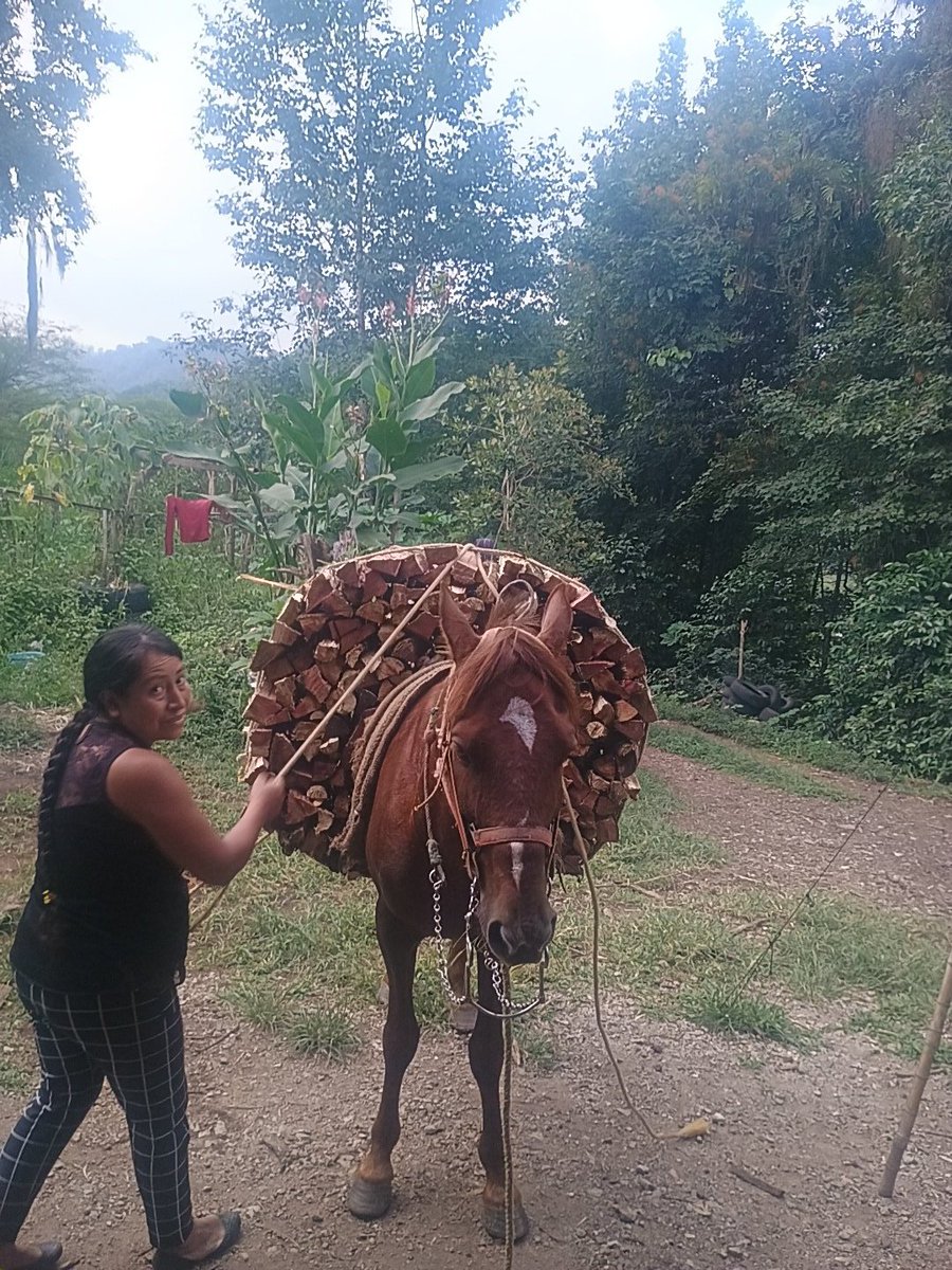 This is how I get the firewood for my oven.