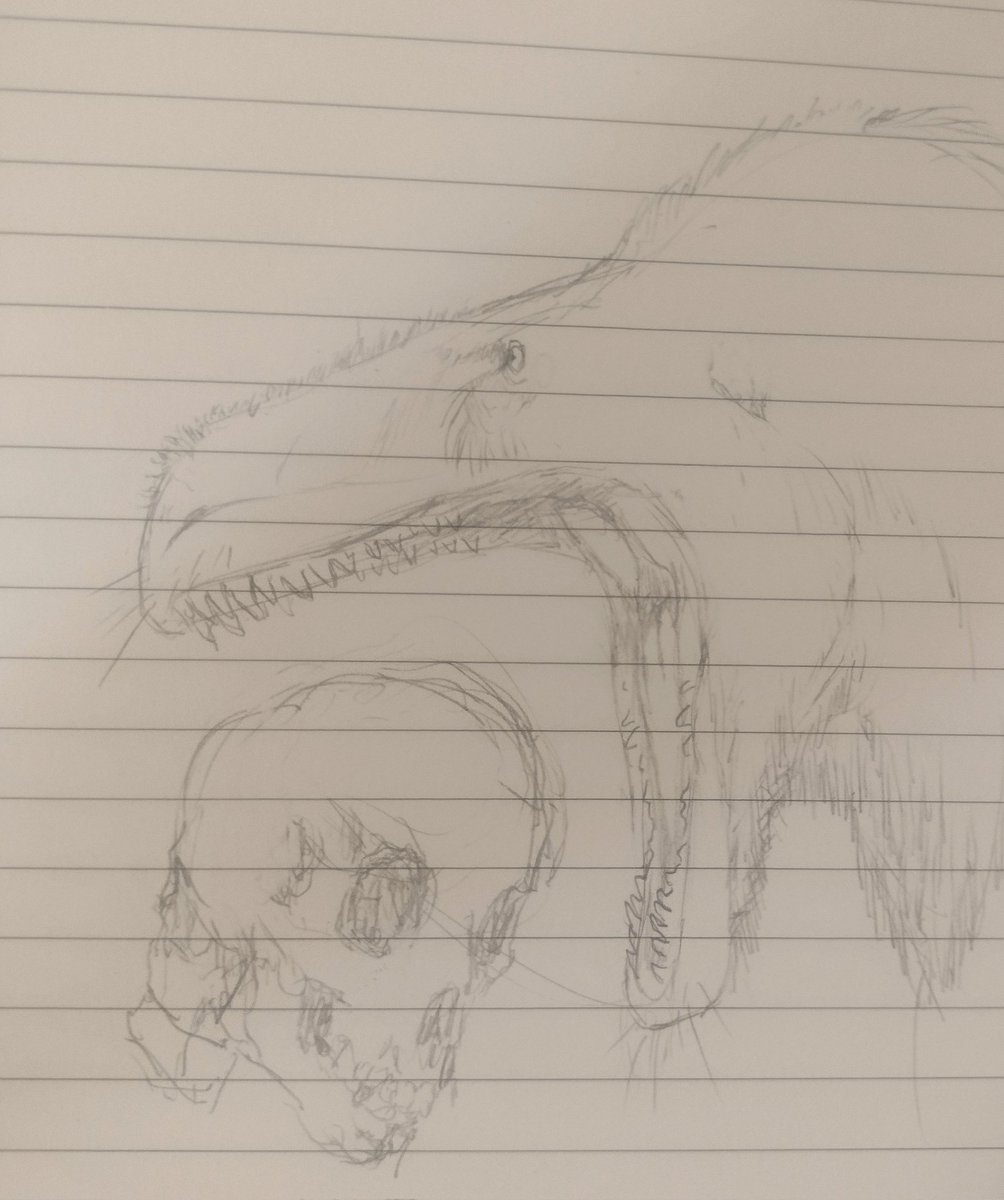icchr_'s tweet image. ive never drawn a human skull before so uhh whatever