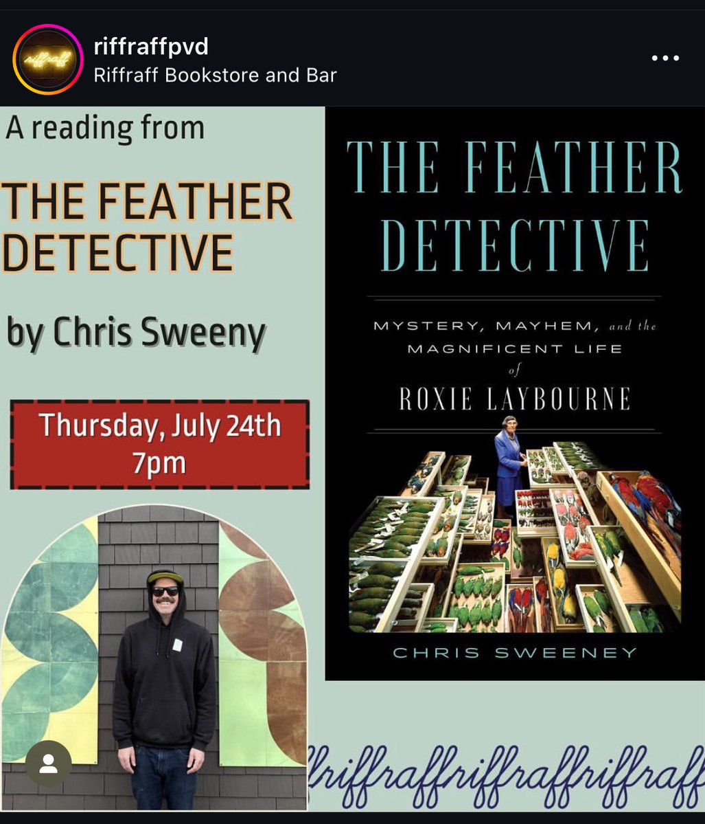 cbsweeney's tweet image. Psyched for this. Next Thursday in Providence at one of the coolest book shops. If you’re in the area, come and have a hang. It’ll be fun! #birds #providence