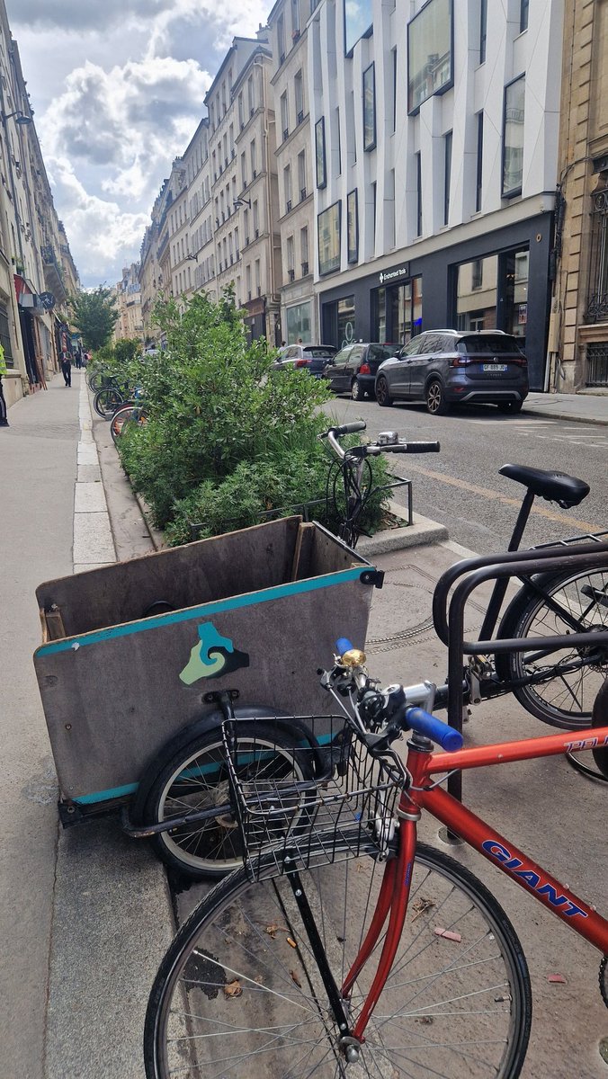#Verkehrwende in #Paris macht gute Laune. Sichere #Radwege, #Begrünung überall und gute Abstellmöglichkeiten für #Fahrräder. 💚✨️🚲