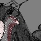 EmptyGoldStudio's tweet image. Fulls+many more on tumblr and bsky✨
#gravityfalls #kryptos #tradart #emptygoldstudio