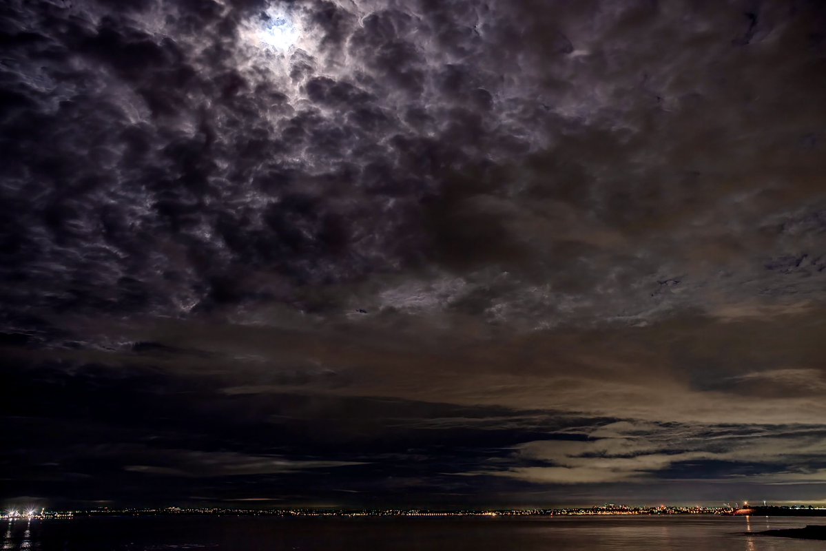 timritchie's tweet image. The dog beach as Sydney’s Rose Bay was houndless under a moon trying to peak through the clouds.
I love being alone at places that are usually full of people (and in this case, dogs).