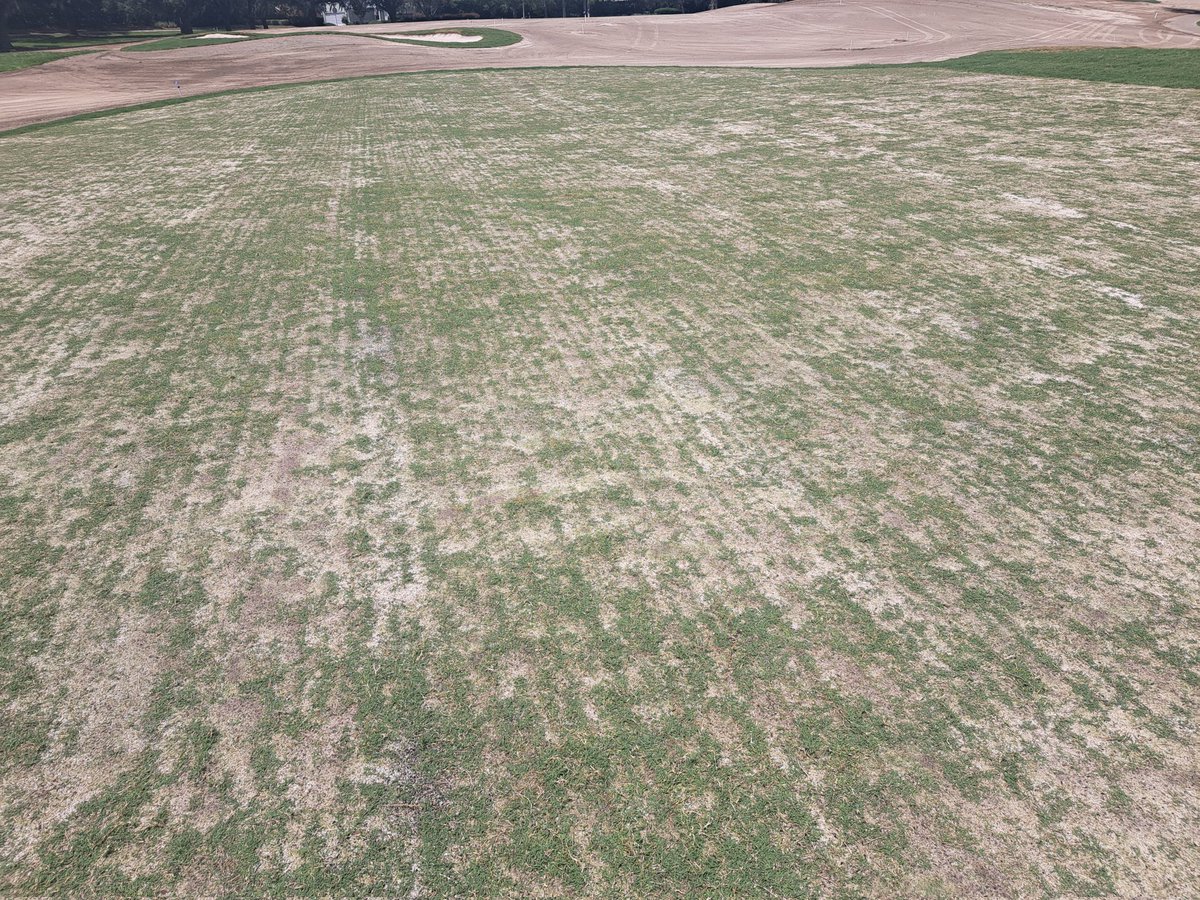 12 days. Second mow tomorrow.