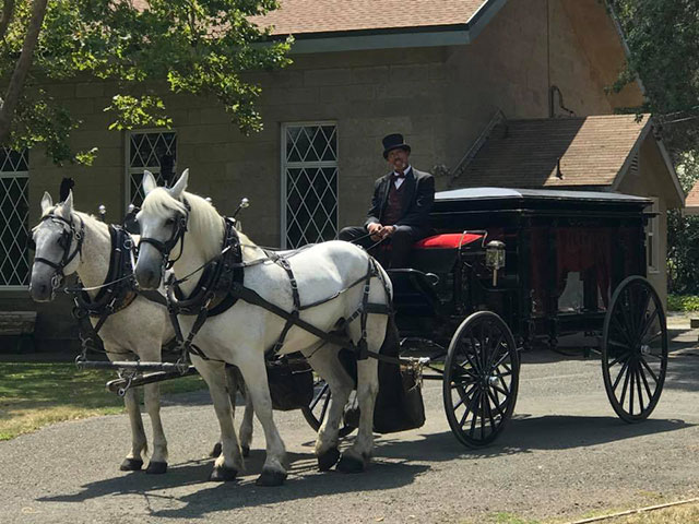 brendanocwp's tweet image. you're telling me a horse drew this carriage? Buddy, no way...that's a photo
