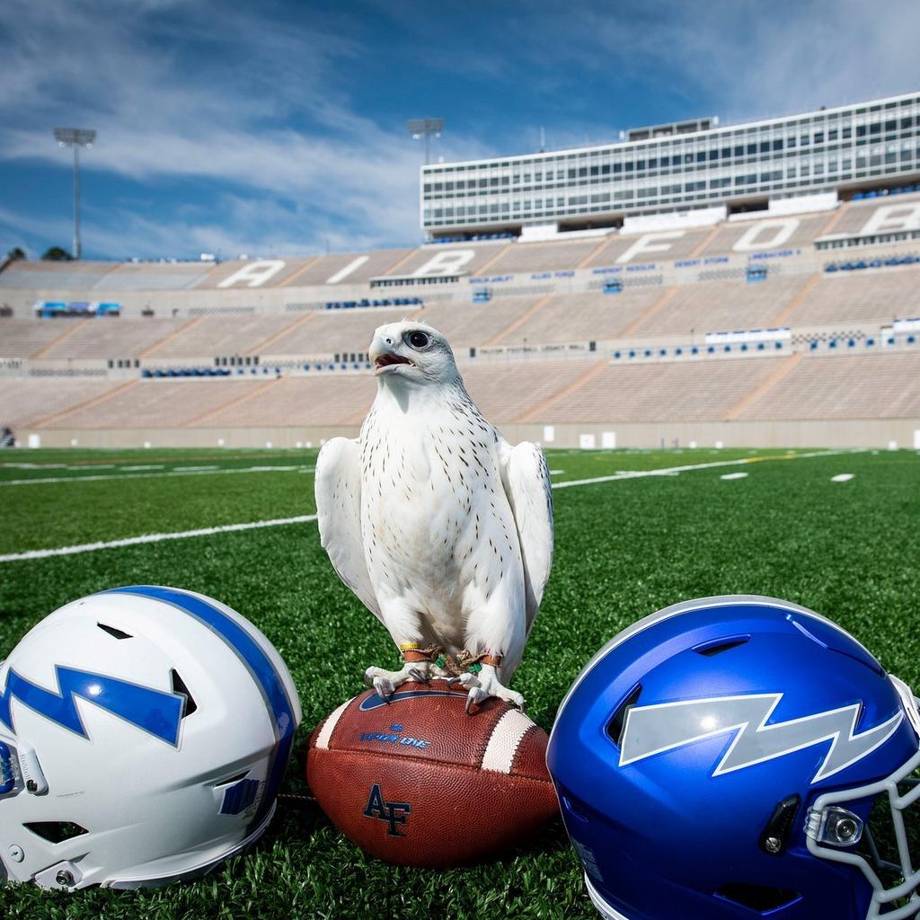 CFBHome's tweet photo. Stadium of the Night 🌚

🏟️ Falcon Stadium
✅ Capacity: 46,692
📍Colorado Springs, Colorado

Home of @AF_Football https://t.co/E4tWke6abN