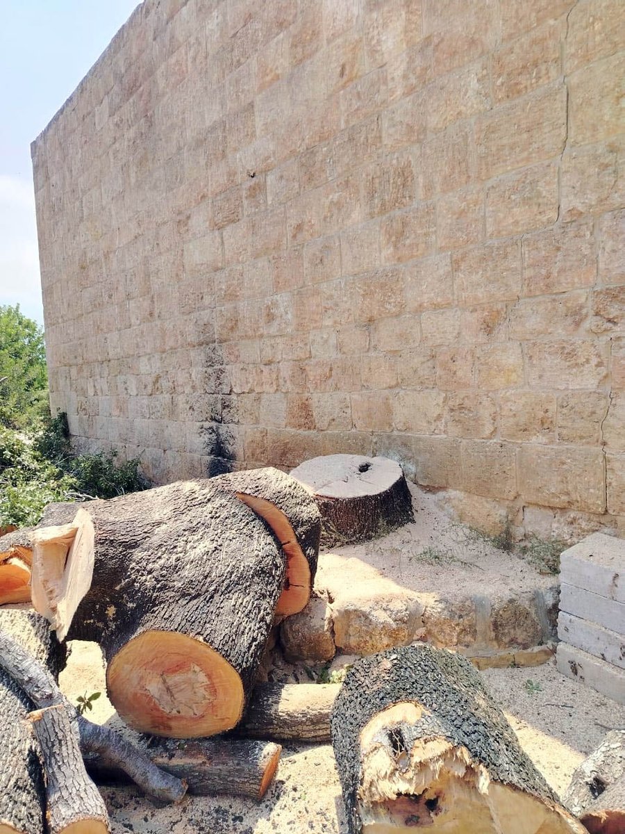 MoaLebanon's tweet image. #وزارة_الزراعة تتحرّك سريعًا وتضبط قطعًا جائرًا لأشجار معمّرة في خراج زغرتا: تشديد على الالتزام بالقانون ورفض مطلق للتعدّي على الثروة الحرجية
#الزراعة_نبض_الأرض_والحياة
#وزير_الزراعة
فيسبوك وزارة الزراعة:
facebook.com/MOALebanonOffi…
موقع وزارة الزراعة:
agriculture.gov.lb/Media/News/202…