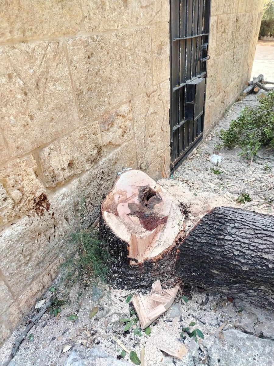 MoaLebanon's tweet image. #وزارة_الزراعة تتحرّك سريعًا وتضبط قطعًا جائرًا لأشجار معمّرة في خراج زغرتا: تشديد على الالتزام بالقانون ورفض مطلق للتعدّي على الثروة الحرجية
#الزراعة_نبض_الأرض_والحياة
#وزير_الزراعة
فيسبوك وزارة الزراعة:
facebook.com/MOALebanonOffi…
موقع وزارة الزراعة:
agriculture.gov.lb/Media/News/202…