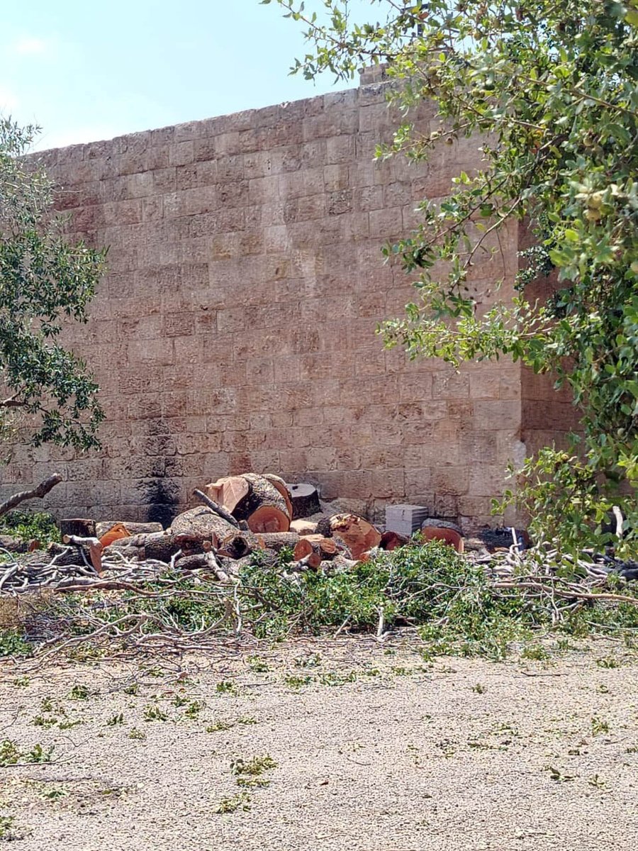 MoaLebanon's tweet image. #وزارة_الزراعة تتحرّك سريعًا وتضبط قطعًا جائرًا لأشجار معمّرة في خراج زغرتا: تشديد على الالتزام بالقانون ورفض مطلق للتعدّي على الثروة الحرجية
#الزراعة_نبض_الأرض_والحياة
#وزير_الزراعة
فيسبوك وزارة الزراعة:
facebook.com/MOALebanonOffi…
موقع وزارة الزراعة:
agriculture.gov.lb/Media/News/202…