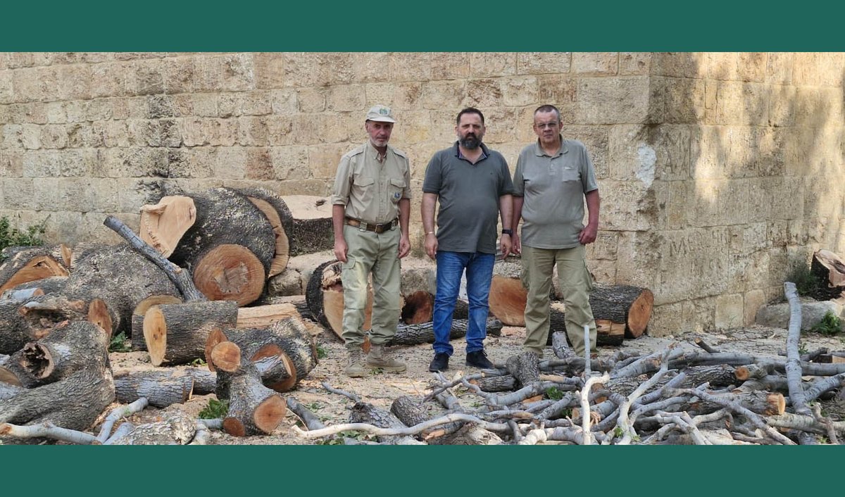 MoaLebanon's tweet image. #وزارة_الزراعة تتحرّك سريعًا وتضبط قطعًا جائرًا لأشجار معمّرة في خراج زغرتا: تشديد على الالتزام بالقانون ورفض مطلق للتعدّي على الثروة الحرجية
#الزراعة_نبض_الأرض_والحياة
#وزير_الزراعة
فيسبوك وزارة الزراعة:
facebook.com/MOALebanonOffi…
موقع وزارة الزراعة:
agriculture.gov.lb/Media/News/202…