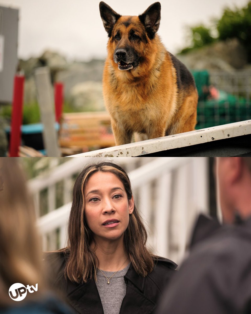 One night. Two episodes. Unlimited tail wags. 🐶

Season 7 of #HudsonAndRex kicks off Thursday at 8 PM ET on UPtv with a two-episode premiere!

#Mystery | #K9 | #GermanShepherd