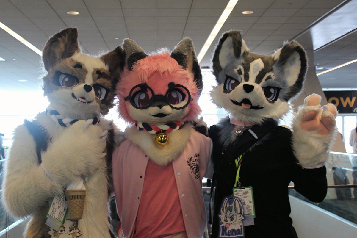Kenai :3 (@kenai_cat) on Twitter photo Already can't wait for AnthroCon next year TΟT
πΈ: <a href="/OrbTheOtter/">orb π megaplex</a>
#furry #fursuit Already can't wait for AnthroCon next year TΟT
πΈ: <a href="/OrbTheOtter/">orb π megaplex</a>
#furry #fursuit