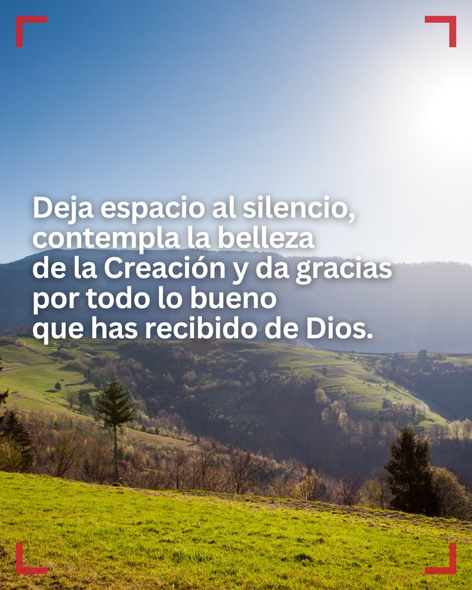 _CARITAS's tweet image. ¿Cuántas veces te sientes así, corriendo, resolviendo, sin tiempo para lo esencial?

Jesús no quita valor al servicio, pero nos recuerda que lo primero es estar con Él, acoger su Palabra y hacerla nuestra.