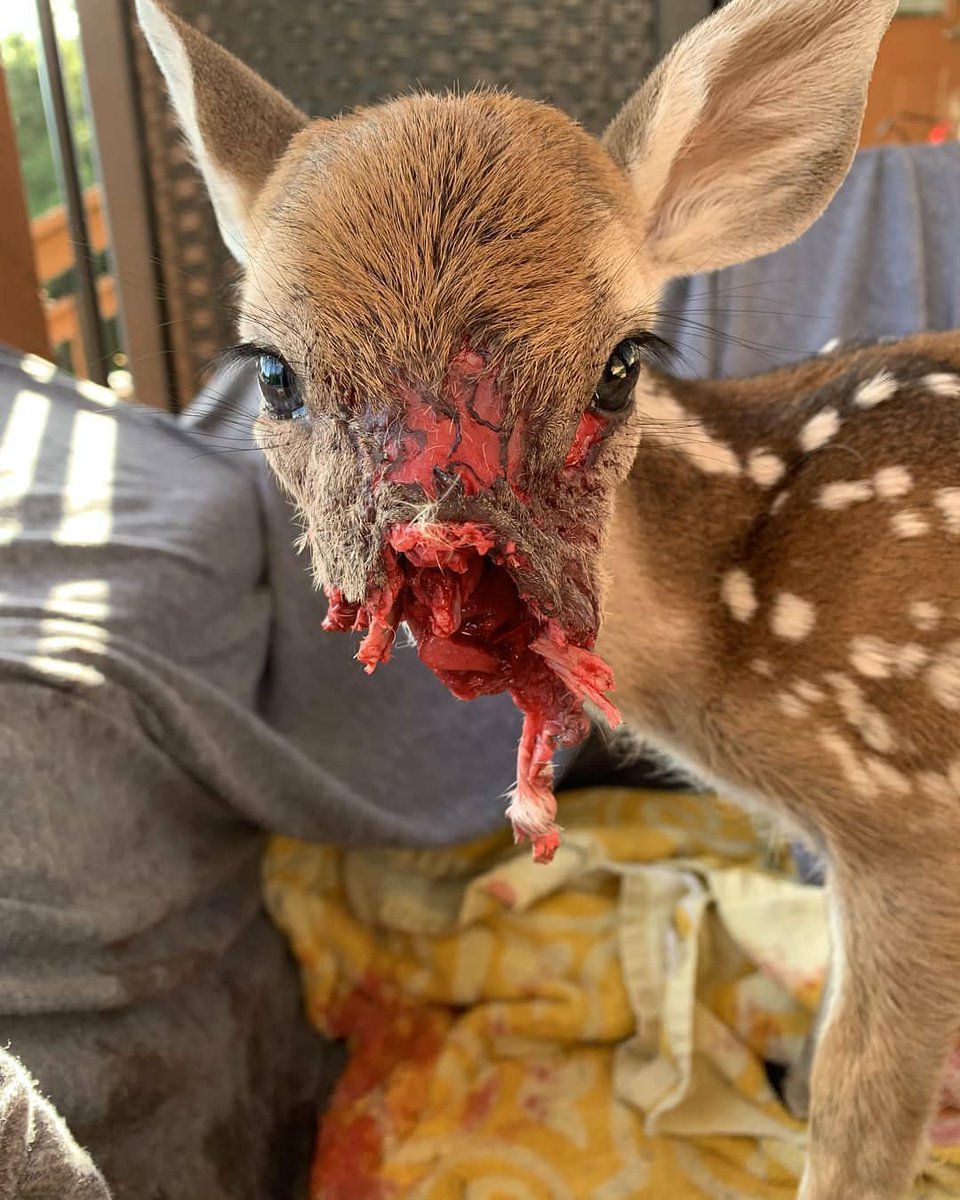 Nature Is Metal tweet media