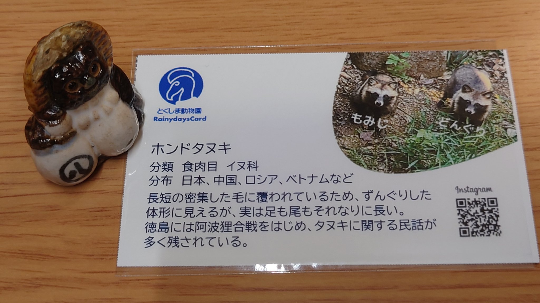 たぬきです。 信楽焼 13号メス狸 たぬき タヌキ 開運 縁起物 可愛い 陶器 商売