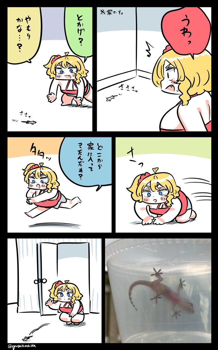 nagare017's tweet image. 恩返し待ちのフロリダちゃん日記です。

#フロリダちゃん日記